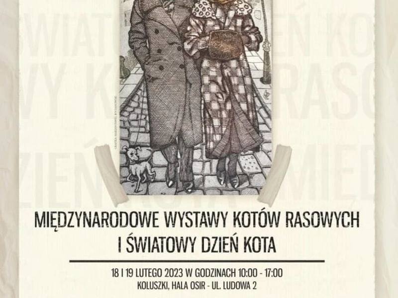 wystawa kotów 2023