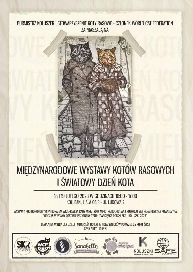 wystawa kotów 2023
