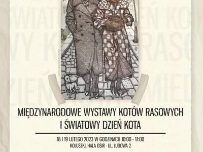 wystawa kotów 2023