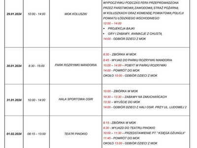 Plan Ferii 2024 - I turnus