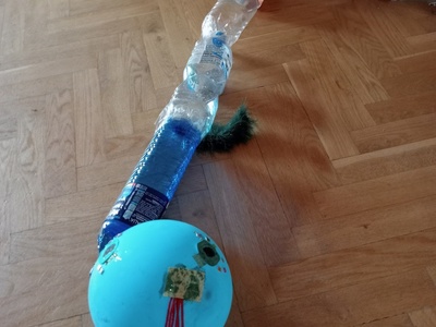 Nasza rajska wyspa - wąż