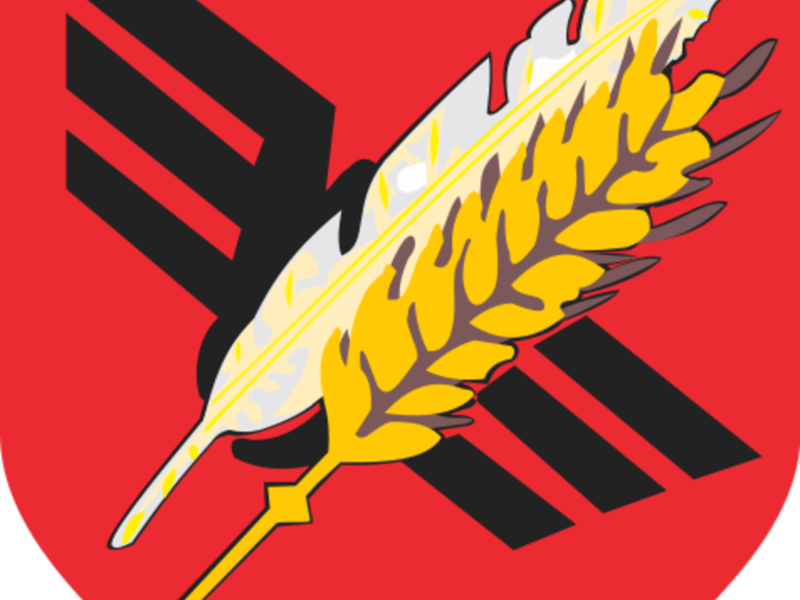 Koluszki logo