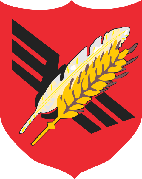 Koluszki logo