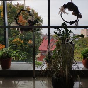 Dekoracje w pomieszczeniach