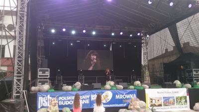 Anna Surma Pacanów Festiwal Kultury Dziecięcej