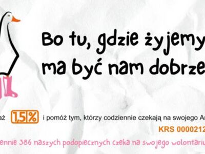 plakat 3