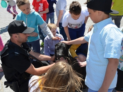 Szydłowieckie Dni Profilaktyki - zdjęcie 9