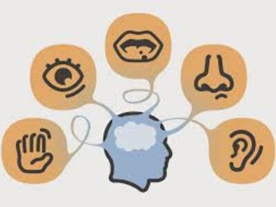 ZMYSŁY | JERZMANOWICE