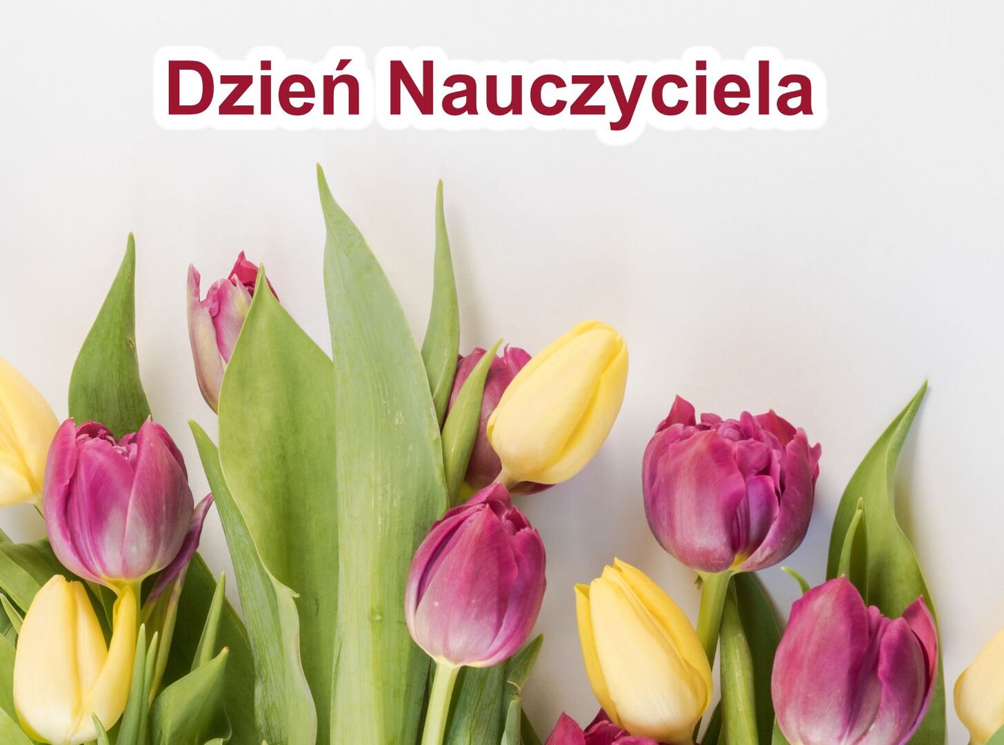 Dzień Nauczyciela - Tulipany - Zdjęcie dodane przez Ylanite Koppens: https://www.pexels.com/pl-pl/zdjecie/selektywna-ostrosc-zdjec-rozowych-i-zoltych-tulipanow-1883385/