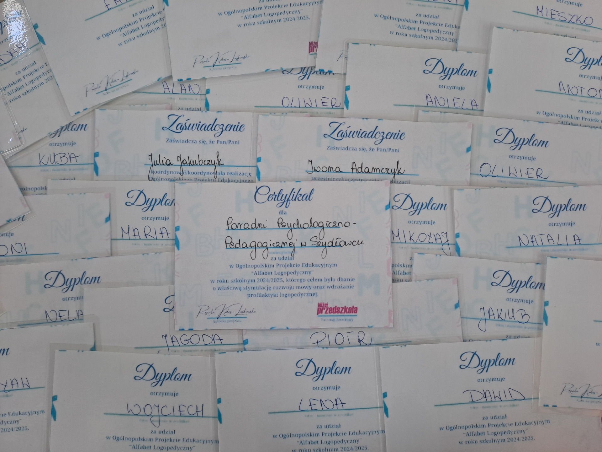 Dyplom na zakończenie projektu