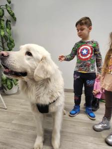 Na zdjęciu znajduje się pies i 3 osoby.