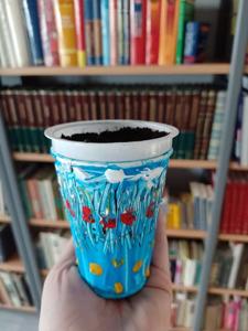 Zdjęcie przedstawia doniczkę z wysianymi kwiatami. Zdjęcie wykonano w bibliotece.