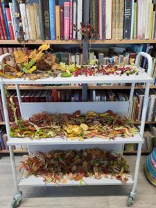 Na zdjęciu znajduje się regał z liśćmi. Zdjęcie wykonano w bibliotece.