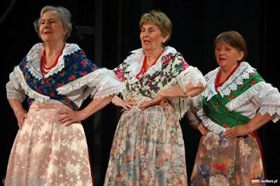 Koncert Zespołu Pieśni i Tańca "Strzecha" im. Joli Rymszy podsumowujący rok artystyczny 2024/2025