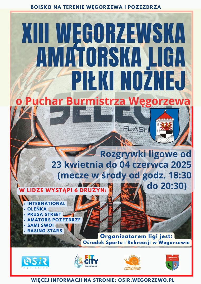 plakat XIII WALPN "Wiosna 2025"