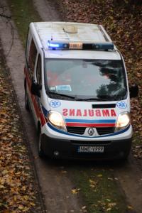 Jesienne Święto Biegów 12-11-2023