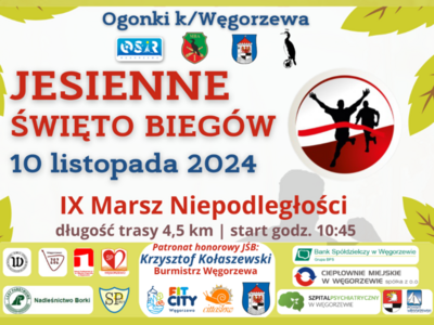 Baner Marszu Niepodległości 2024