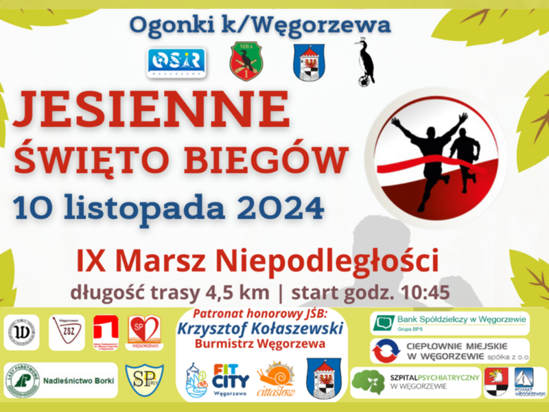 Baner Marszu Niepodległości 2024