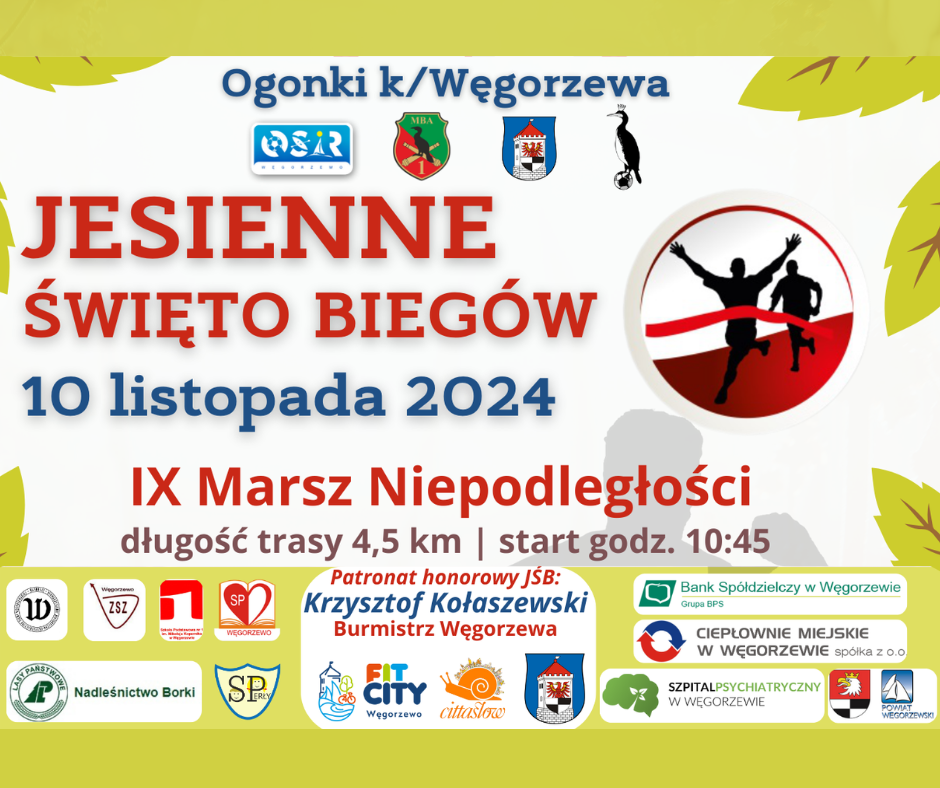 Baner Marszu Niepodległości 2024
