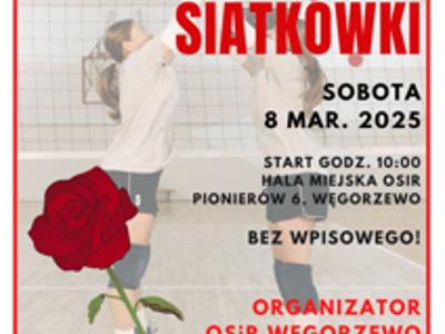Plakat turnieju siatkówki kobiet