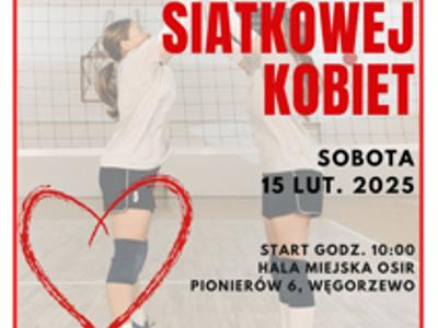 Walentynkowy turniej siatkówki - plakat