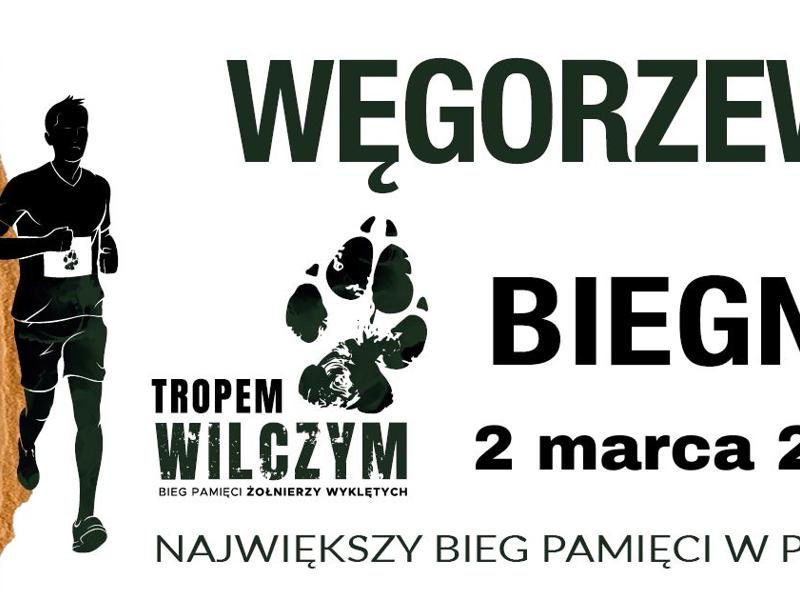 Baner Tropem Wilczym 2025