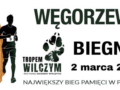 Baner Tropem Wilczym 2025