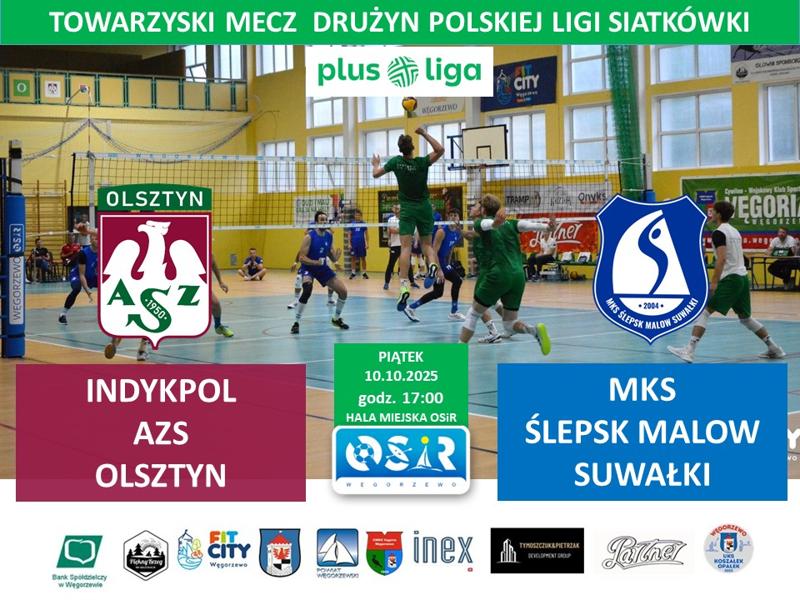 Plakat meczu Plus Ligi 2025