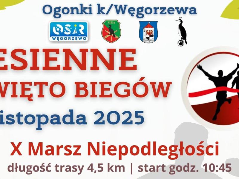 Baner Marsz Niepodległości 2025