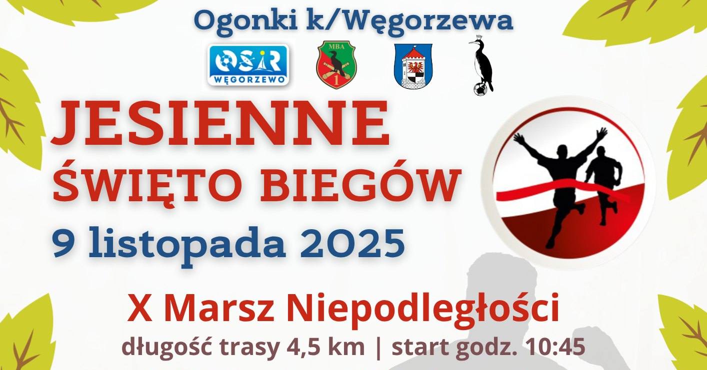 Baner Marsz Niepodległości 2025
