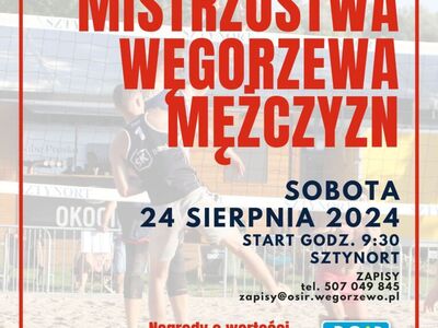 Plakat siatkówki mężczyzn 2024