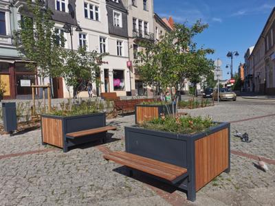 Rynek
