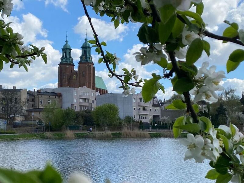 Widok