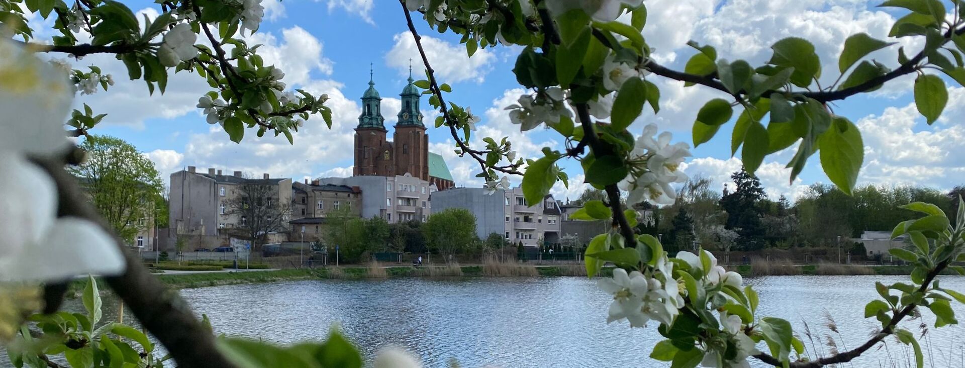 Widok
