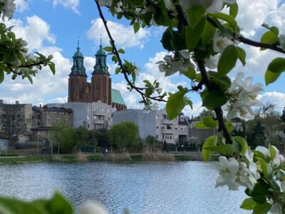 Widok