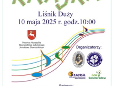plakat promujący festiwal z logami organizatorów i partnerów