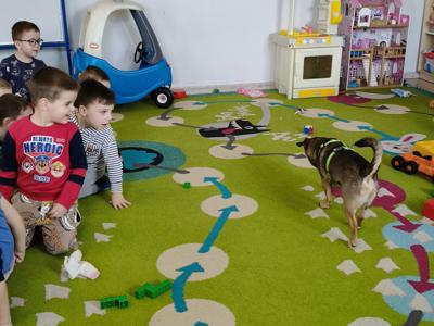 Pies Precel z dziećmi