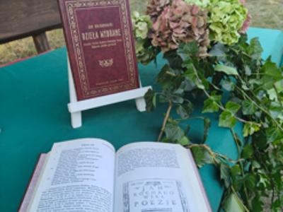 Narodowe Czytanie Gołuchów 2025 - Książki na stoliku