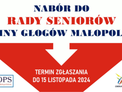 MINIATURA_RADA_SENIORÓW