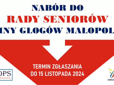 MINIATURA_RADA_SENIORÓW