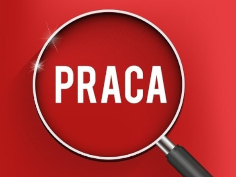 OFERTA_PRACY_MINIATURA