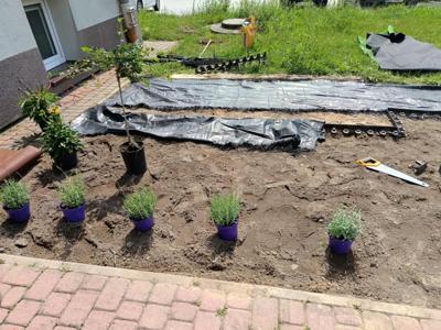POWSTAJE_OGRÓDEK_SENSORYCZNY