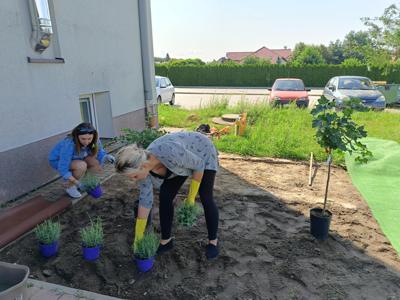POWSTAJE_OGRÓDEK_SENSORYCZNY