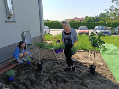 POWSTAJE_OGRÓDEK_SENSORYCZNY