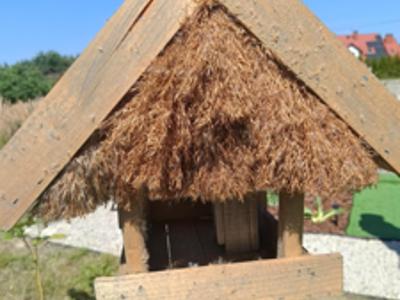 OGRÓDEK_SENSORYCZNY_20