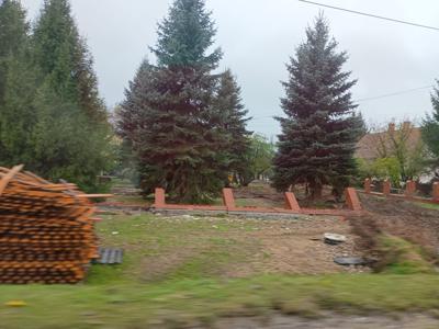 Zdjęcie ukazujące skutki powodzi w Trzebieszowicach