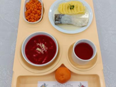 Posiłek na dzień 24.12.2024 roku (wtorek)- obiad dieta łatwostrawna