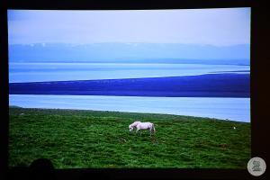 Zdjęcia Islandia