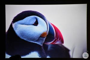 Zdjęcia Islandia
