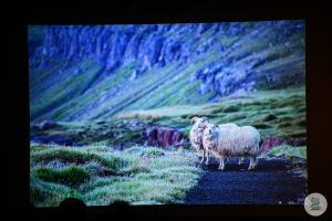 Zdjęcia Islandia